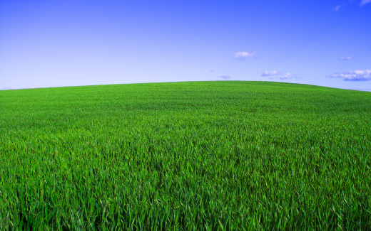 527882 (a): :1920x1200